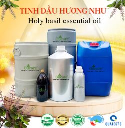 Tinh dầu hương nhu bán sỉ kg lít buôn rẻ mua ở đâu