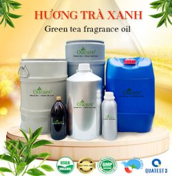 Hương trà xanh bán lít kg buôn sỉ giá rẻ mua ở đâu