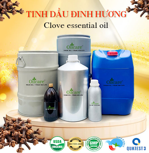 Tinh dầu đinh hương bán sỉ lít kg buôn rẻ mua ở đâu