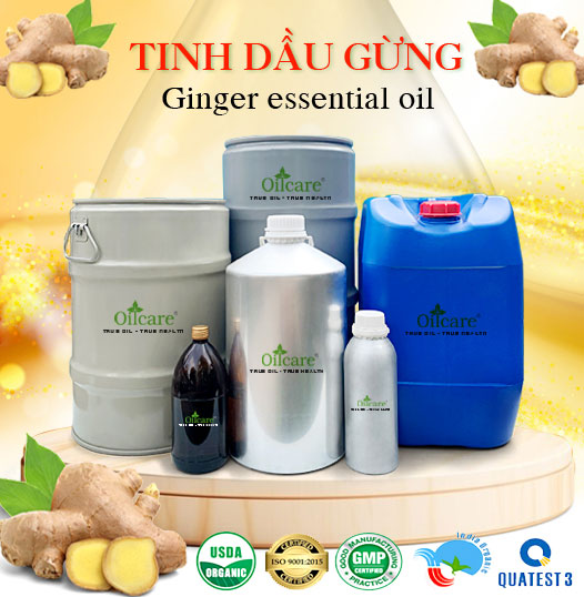 Tinh dầu gừng giá sỉ buôn kg lít rẻ bán ở đâu