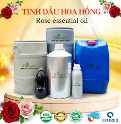 Tinh dầu hoa hồng bán sỉ buôn kg lít rẻ mua ở đâu