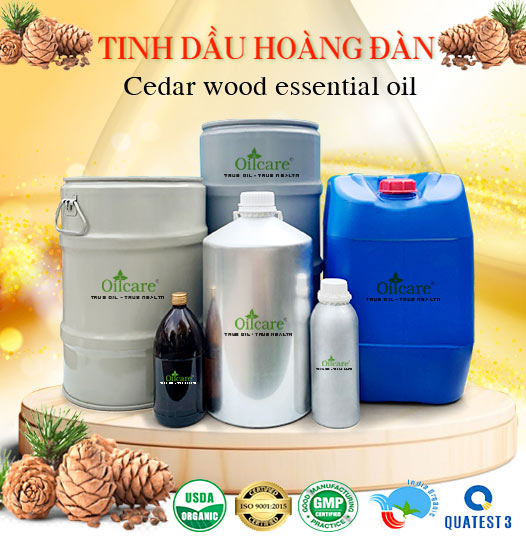 Tinh dầu hoàng đàn bán sỉ kg lít buôn rẻ mua ở đâu