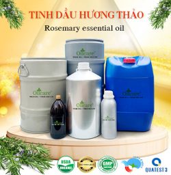 Tinh dầu hương thảo giá sỉ lít kg buôn rẻ bán ở đâu