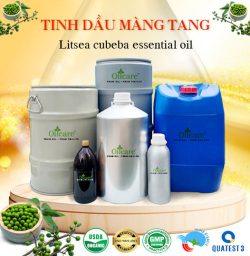 Tinh dầu màng tang bán sỉ buôn kg lít rẻ mua ở đâu