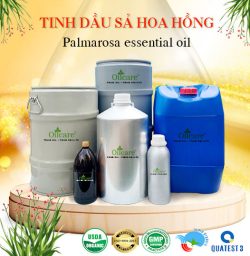 Tinh dầu sả hoa hồng bán sỉ lít kg buôn rẻ mua ở đâu