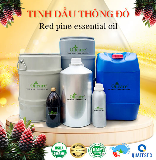 Tinh dầu thông đỏ bán sỉ buôn kg lít rẻ mua ở đâu