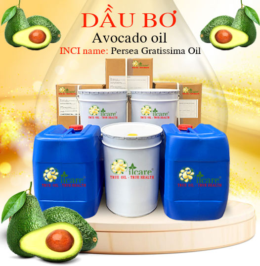 Dầu trái bơ bán sỉ lít kg buôn giá rẻ mua ở đâu