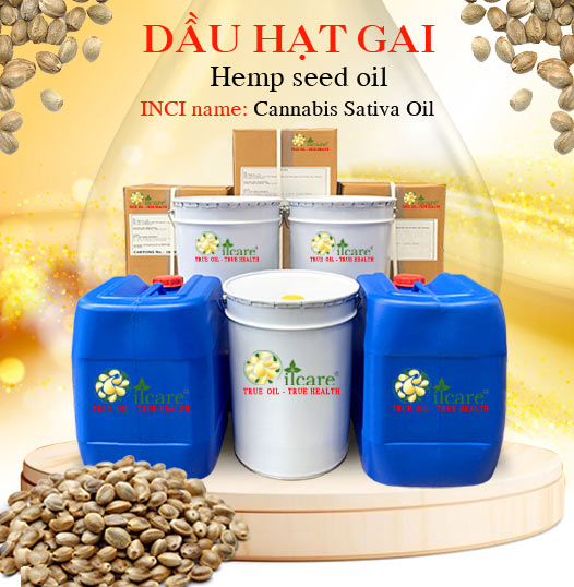 Dầu hạt gai bán sỉ lít kg buôn giá rẻ mua ở đâu