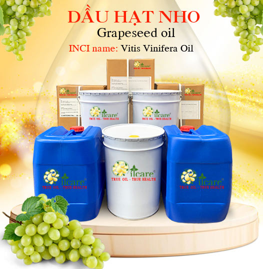 Dầu hạt nho bán sỉ lít kg buôn giá rẻ mua ở đâu
