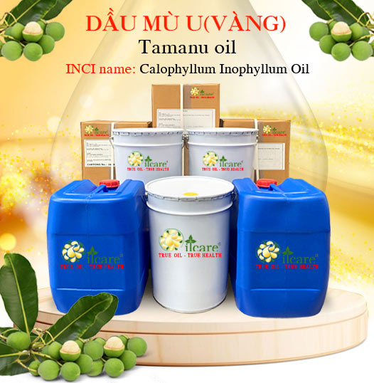 Dầu mù u bán sỉ lít kg buôn giá rẻ mua ở đâu