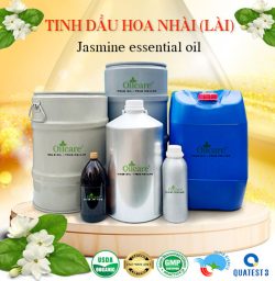 Tinh dầu hoa nhài bán sỉ buôn kg lít rẻ mua ở đâu