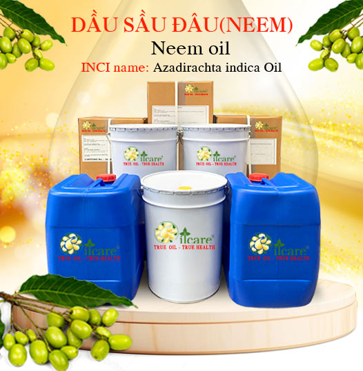 Dầu neem sầu đâu bán sỉ lít kg buôn giá rẻ mua ở đâu