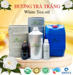 Tinh dầu trà trắng giá sỉ buôn kg lít rẻ bán ở đâu