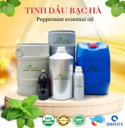 Tinh dầu bạc hà giá sỉ buôn kg lít rẻ