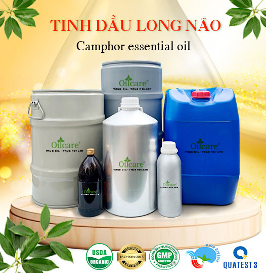 Tinh dầu long não giá sỉ buôn kg lít rẻ bán ở đâu