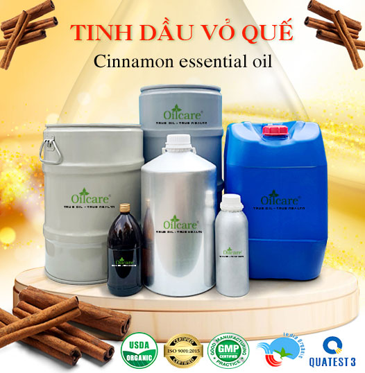 Tinh dầu quế giá sỉ buôn kg lít rẻ bán ở đâu