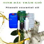 Tinh dầu tràm giá sỉ niaouli essential oil bán kg buôn lít rẻ mua ở đâu