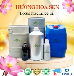 Tinh dầu hoa sen bán sỉ lít kg buôn giá rẻ mua ở đâu