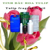Tinh dầu hoa tulip bán sỉ lít kg buôn giá rẻ mua ở đâu