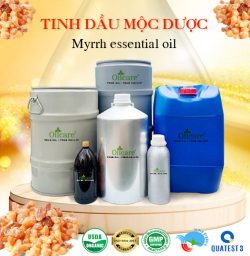 Tinh dầu mộc dược bán sỉ lít kg buôn giá rẻ mua ở đâu