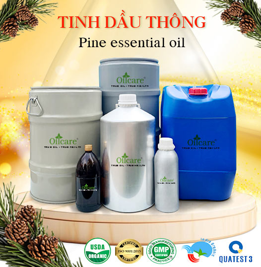 Tinh dầu thông bán sỉ buôn kg lít rẻ mua ở đâu