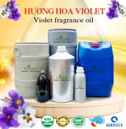 Tinh dầu hoa violet bán sỉ lít kg buôn giá rẻ mua ở đâu