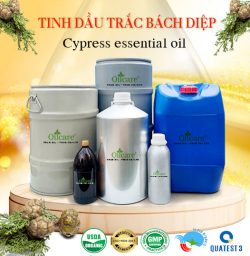 Tinh dầu trắc bách diệp bán sỉ kg lít buôn giá rẻ mua ở đâu