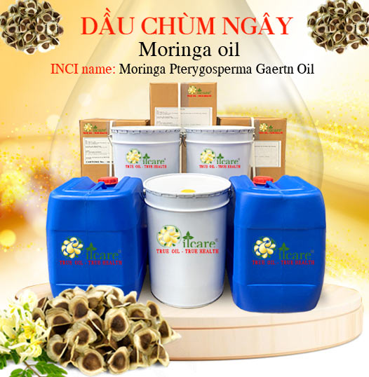 Dầu chùm ngây bán sỉ lít kg buôn giá rẻ mua ở đâu