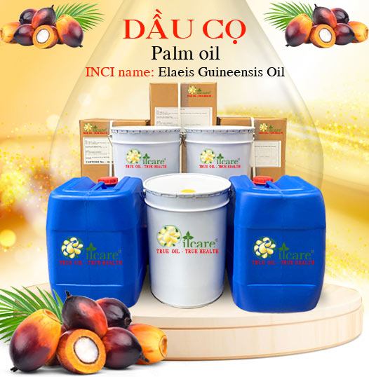 Dầu cọ bán sỉ lít kg buôn giá rẻ mua ở đâu