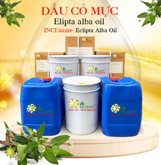 Dầu cỏ mực bán sỉ lít kg buôn giá rẻ mua ở đâu