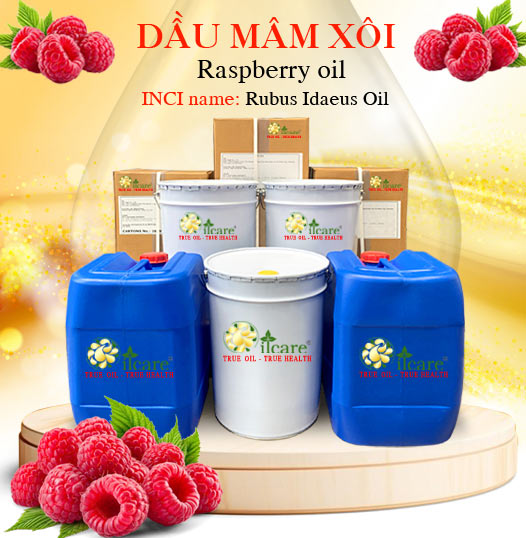 Dầu mâm xôi bán sỉ buôn lít kg giá rẻ mua ở đâu