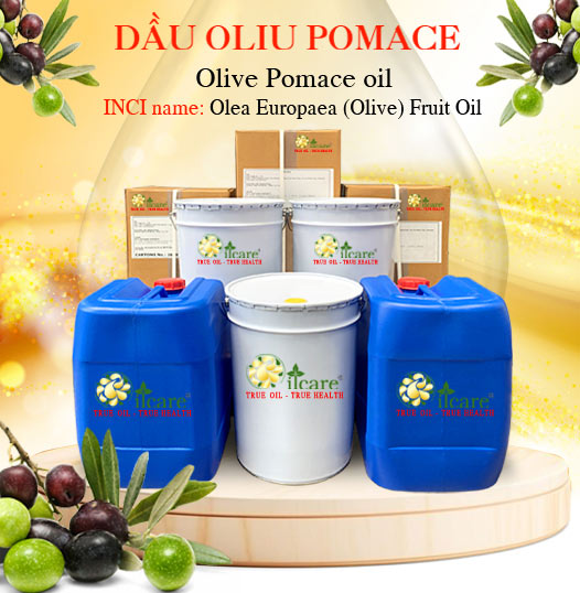 Dầu ô liu pomace bán sỉ kg lít buôn giá mua ở đâu