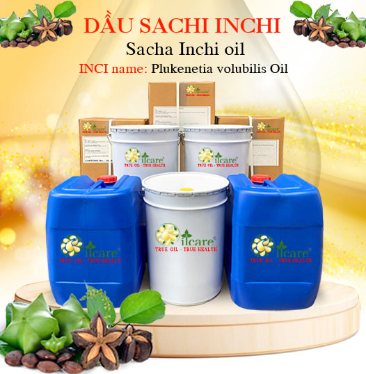 Dầu sachi inchi bán sỉ buôn lít giá rẻ mua ở đâu