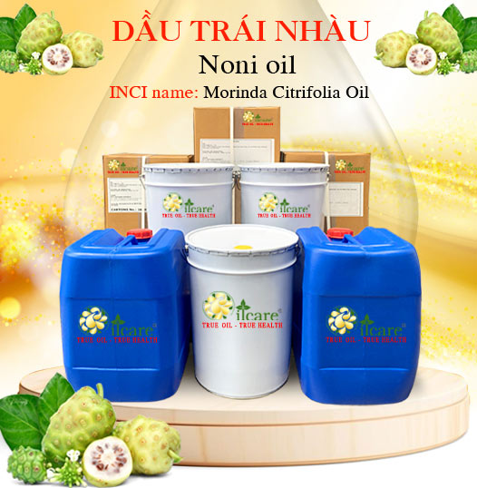 Tinh dầu trái nhàu bán sỉ lít kg buôn rẻ mua ở đâu