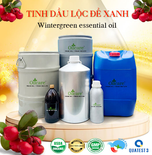 Tinh dầu lộc đề xanh bán sỉ lít kg buôn giá rẻ mua ở đâu
