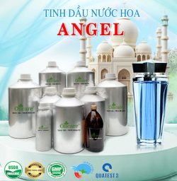 Tinh dầu nước hoa gốc Angel bán lít giá sỉ mua ở đâu