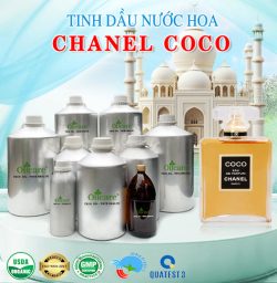 Tinh dầu nước hoa gốc chanel coco bán lít giá sỉ mua ở đâu