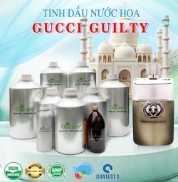 Tinh dầu nước hoa gốc Gucci guilty bán lít giá sỉ mua ở đâu