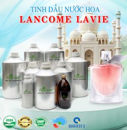 Tinh dầu nước hoa gốc Lancome Lavie bán lít giá sỉ mua ở đâu