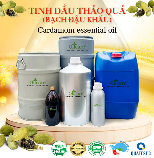 Tinh dầu thảo quả cardamom giá sỉ lít kg buôn bán rẻ mua ở đâu