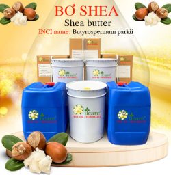 Bơ shea bán sỉ kg buôn giá rẻ tại thành phố hồ chí minh