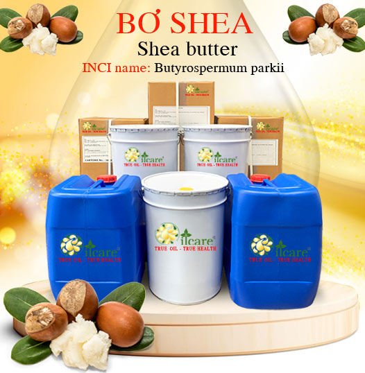 Bơ shea bán sỉ kg buôn giá rẻ tại thành phố hồ chí minh
