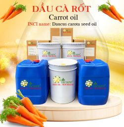 Dầu cà rốt bán sỉ carrot carrier oil lít kg buôn giá rẻ mua ở đâu