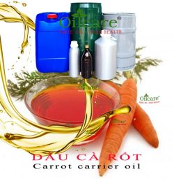 Dầu cà rốt bán sỉ carrot carrier oil lít kg buôn giá rẻ mua ở đâu
