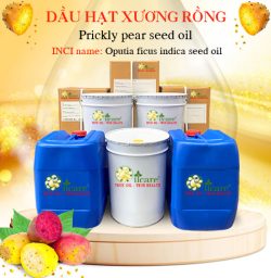 Dầu hạt xương rồng bán sỉ prickly pear seed carrier oil bán lít kg buôn giá rẻ mua ở đâu