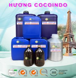 Tinh dầu nước hoa chanel coco bán sỉ lit kg giá rẻ mua ở đâu