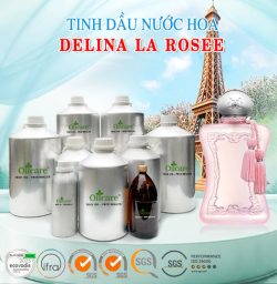 Tinh dầu nước hoa DELINA LA ROSEE bán sỉ lit kg giá rẻ mua ở đâu