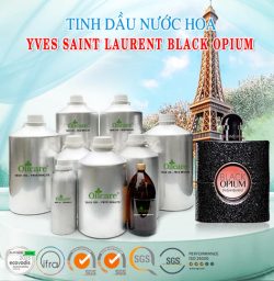 Tinh dầu nước hoa YVES SAINT LAURENT BLACK OPIUM bán sỉ lit kg giá rẻ mua ở đâu