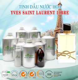 Tinh dầu nước hoa YVES SAINT LAURENT LIBRE bán sỉ lit kg giá rẻ mua ở đâu