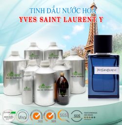 Tinh dầu nước hoa YVES SAINT LAURENT Y bán sỉ lit kg giá rẻ mua ở đâu